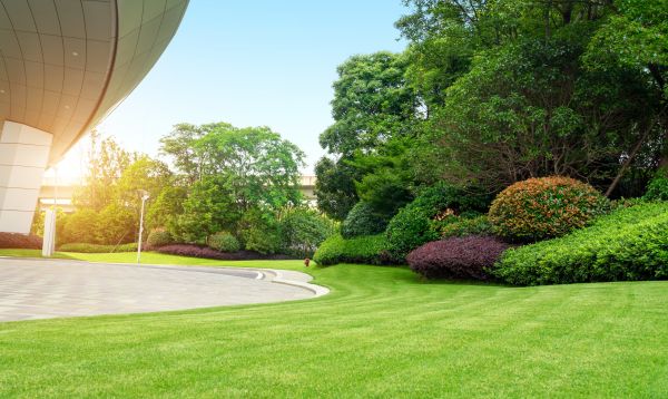 Commercial Lawn Care in State College