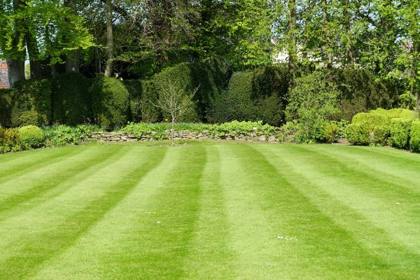Grass Care Service in State College