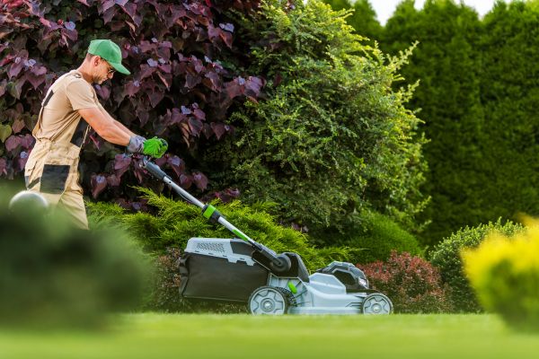 Lawn Management in State College