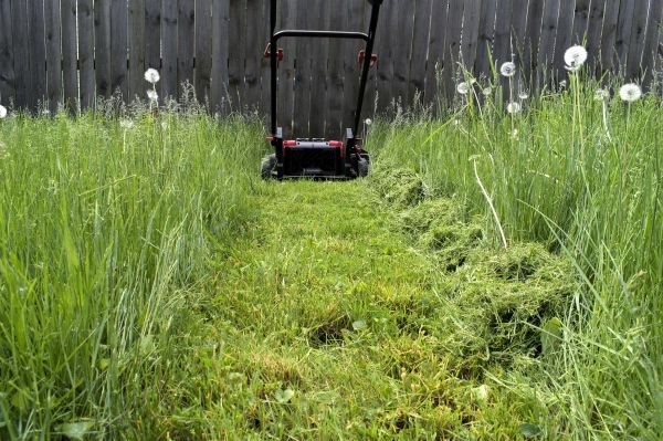 High Grass Mowing in State College