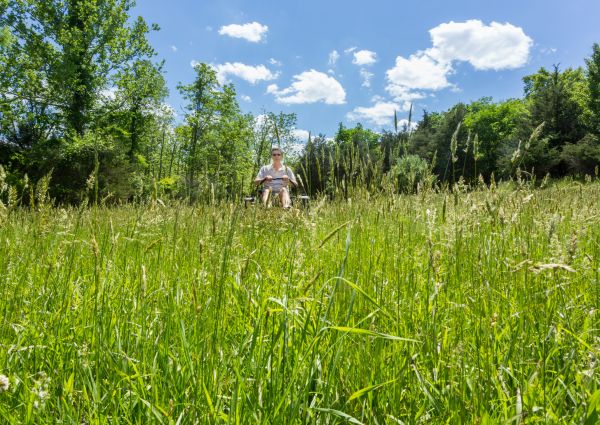 Long Grass Mowing in State College