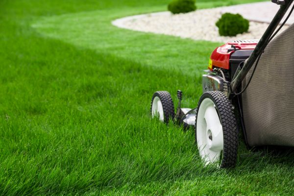 Lawn Trimming in State College