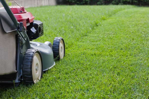 Summer Lawn Care in State College