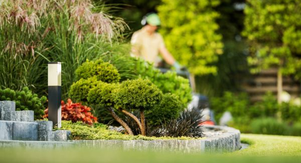 Residential Yard Maintenance in State College