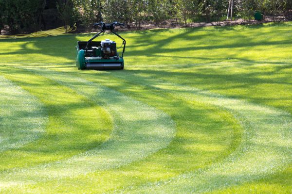 Business Lawn Mowing in State College