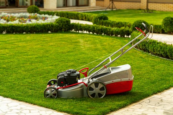 Business Grass Cutting in State College