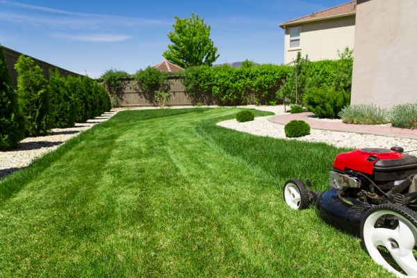 Residential Lawn Mowing in State College