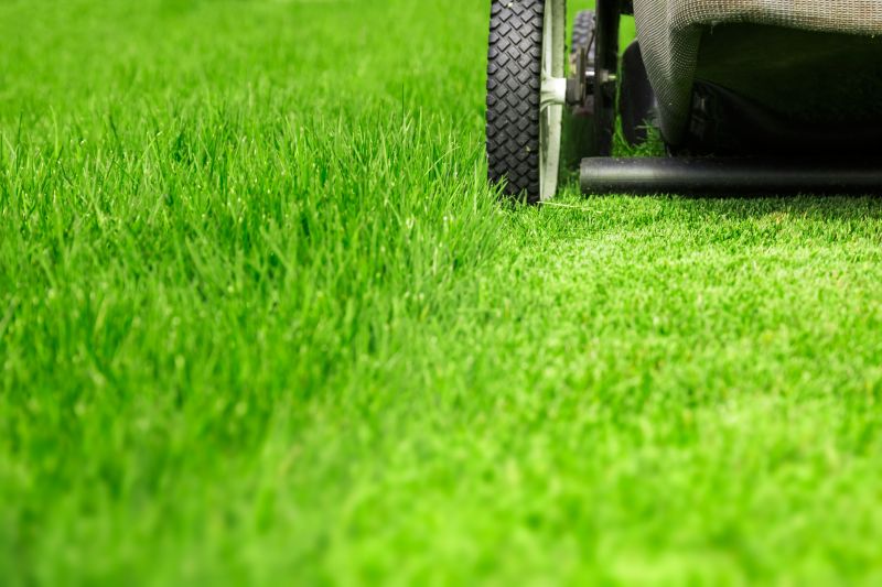 Weekly Lawn Care detail