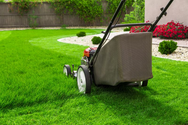 Healthy Lawn After Mowing