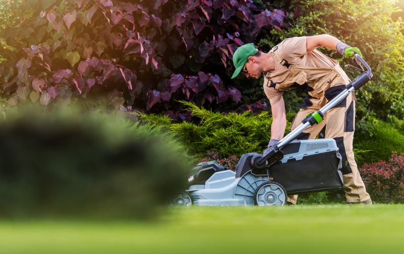 Independent Lawn Mowing Professionals